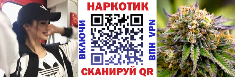 Купить закладку А ПВП  Бошки Шишки  Кокаин  Амфетамин  Галлюциногенные грибы  Меф  ГАШИШ  Городовиковск