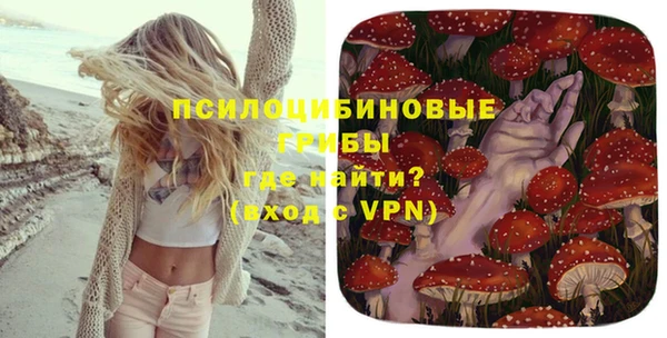 мдпв Данков