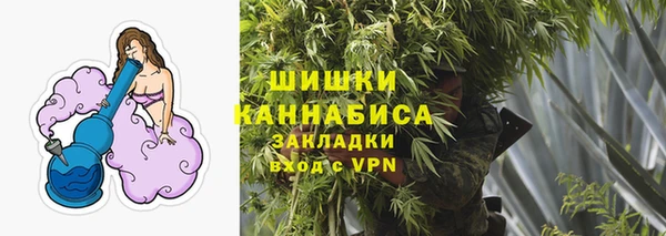 амф Грязи