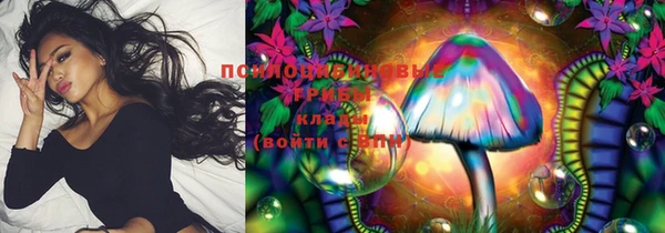 мдма Грязовец