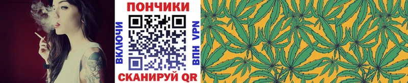 Марихуана конопля  Купить где  Городовиковск 